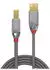 Lindy USB 2.0 A-B 1m (36641)