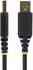 StarTech USB-A auf 2x DB-9 RS-232 Adapterkabel 2-Port 4m (2P6FFC-USB-SERIAL)