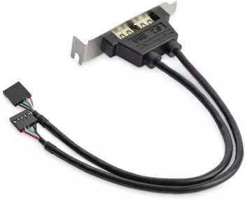 StarTech USBPLATELP Slotblech 2x USB-A 2.0, Low Profile (USBPLATELP)