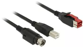 DeLock PoweredUSB Kabel 24V USB Typ-B + Mini-DIN 3-Pin 3m (85489)
