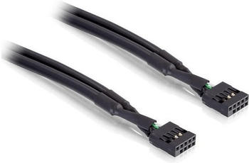 DeLock USB Pinheader 5pin 0.5m (82437)