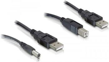 DeLock Kabelset 2-fach USB-A > DC + USB-B 30cm (82461)