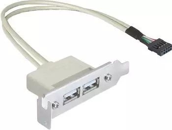 DeLock Slotblech USB 2.0 Low Profile 2 Port (83119)