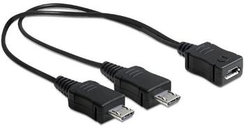 DeLock USB 2.0 0,2m (65440)