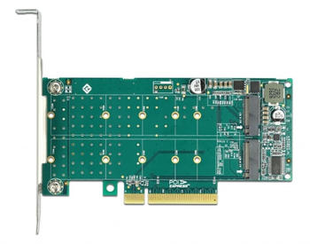 DeLock PCIe 4.0 x8 > 2x NVMe M.2 (89045)