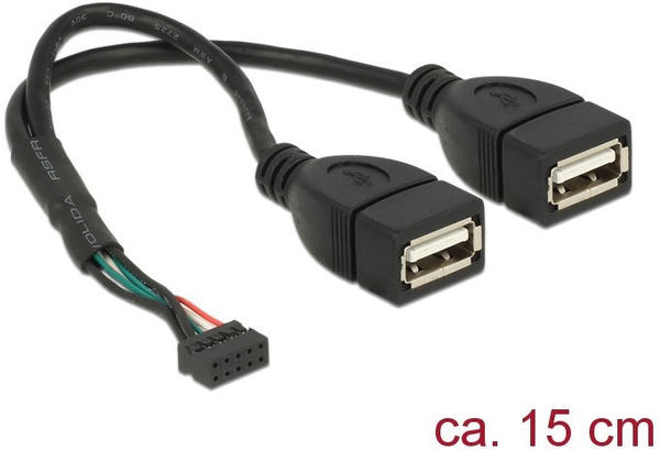 DeLock USB 2.0 10pin > 2x USB 2.0 Adapter (84933)
