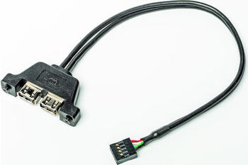 ASRock Deskmini USB 2.0 Kabel (5RB000010020)