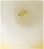 Fame Crystal Singing Bowl 12