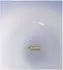 Fame Crystal Singing Bowl 9