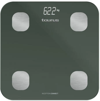 Taurus Inception Connect