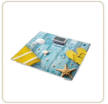 Little Balance Kinetic Coquillages Zen