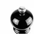 Peugeot Paris Salzmühle schwarz lackiert 12 cm