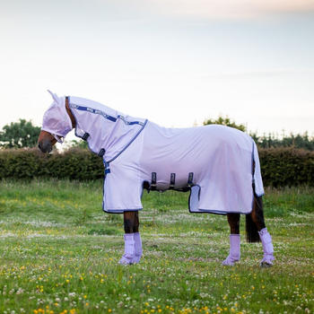 Horseware Bug Buster Fly Sheet 0g 130cm Azure Blue/Navy & Electric Blue