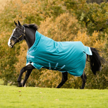 Horseware Amigo Bravo 12 Wug 0g 160cm Storm Green