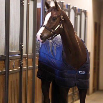 Horseware Liner 100g - Navy 160