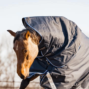 Horseware Amigo Bravo 12 Hood 150g Black/Titanium Grey/Silver M