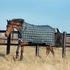 Horseware Rhino Wug Turnout Medium 250g Hunter Check 155 cm / 6'9