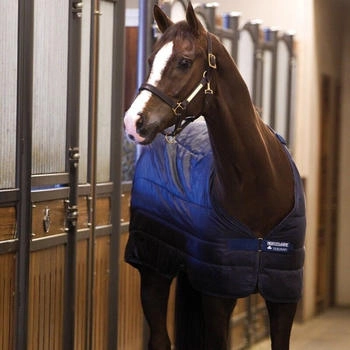 Horseware Liner 200g - Navy 160