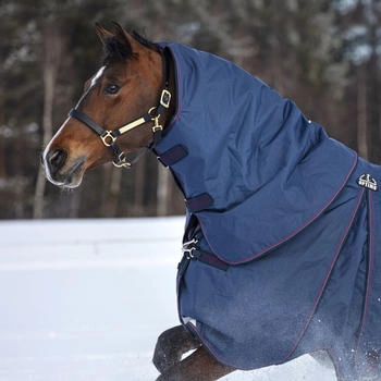 Horseware Rambo Optimo Hood 150g - Navy/Burgundy M