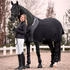 Back on Track Abschwitzdecke Supreme mit D-Ringen atmungsaktiv 155cm