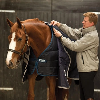 Horseware Unterdecke Liner Pony 100g - Navy with Silver 115