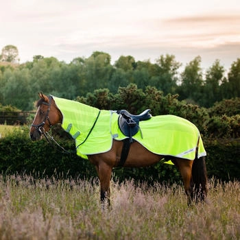 Horseware Amigo Flyrider Chalk/ Navy L