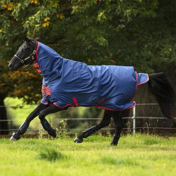 Horseware Mio All-In-OneTurnout 350g - Dark Blue & Red blau 140