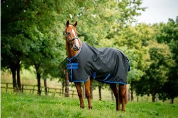 Horseware Amigo Ripstop 900 Fleece Lined Original 50g Black/Classic Blue 145 cm / 6'6