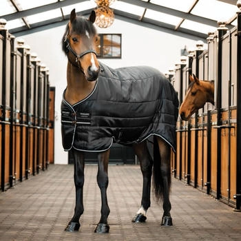Horseware Easy-Layer Stable 100g Black/Black/Silver 130
