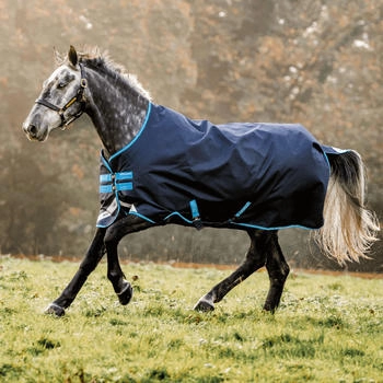 Horseware Amigo Bravo 12 Turnout 100g Navy/Turquoise 160