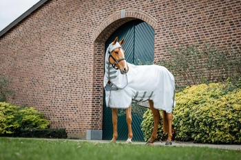 Horseware Amigo Ripstop Hoody Silver/Titanium Grey/Silver 155