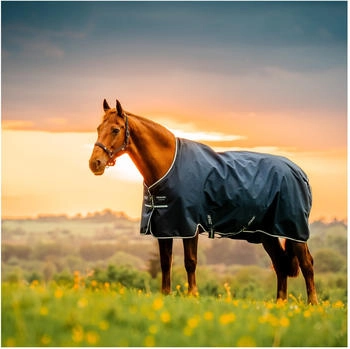 Horseware Amigo Ripstop 900 Original 0g Witney Navy 125