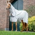 Horseware Amigo Ripstop Hoody Silver/Titanium Grey/Silver 140