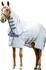 Horseware Amigo Ripstop Hoody Silver/Titanium Grey/Silver 140