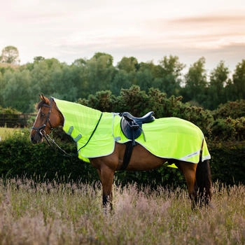 Horseware Amigo Flyrider Flouresce L