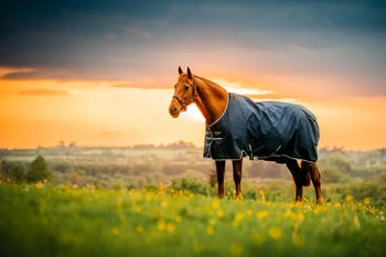 Horseware Amigo Ripstop 900 Fleece Lined Original 50g Witney Navy 160
