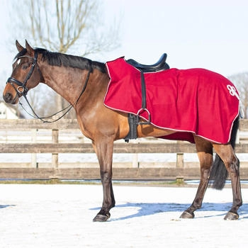 QHP Fleece-Ausreitdecke mit Ornament Schwarz/Silber L
