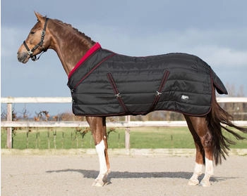 QHP Collection Stalldecke Luxus 200g Schwarz 195