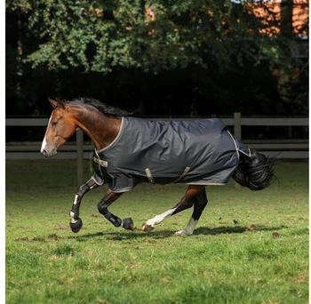Bucas Freedom Turnout Light 0g Black/Taupe 115