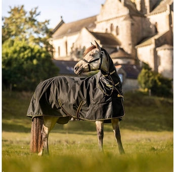 Bucas Irish Turnout Light 50g + Neck Set 1200D - black/gold schwarz 165