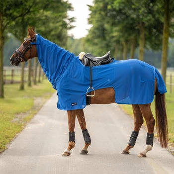 Busse Ausreitdecke MOSKITO III - Royal Summer - 155 cm