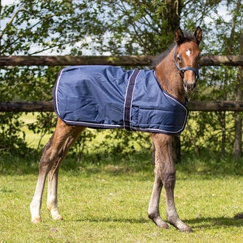 QHP Fohlendecke Turnout 100gr Navy 95