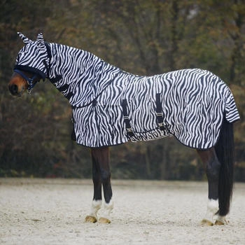 Waldhausen Fliegendecke zebra 095