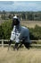 Bucas Sweet-itch X light - Silver grau 155