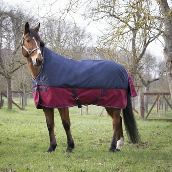 Equithème Tyrex 1200D 0g with High Neck - marineblau/bordeaux multicolor 165