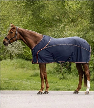 Waldhausen Cooler Fliegen-Sommerdecke blau 135