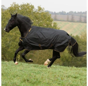 Bucas Irish Turnout Regendecke Weidedecke 50g 165cm Big Neck wasserdicht und atmungsaktiv