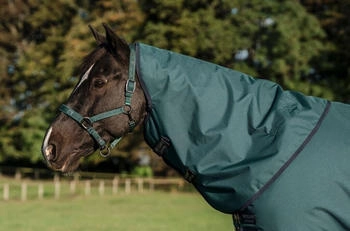 Horseware Amigo Ripstop 900D Hood 0g Dynasty Green/Navy & Silver XL