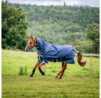 Horseware Amigo 1200D Plus Turnout 50g Navy/Titanium Grey/Silver 140