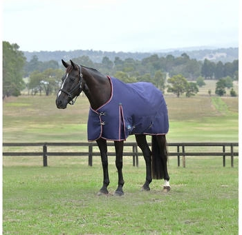 WeatherBeeta Comfitec Essential Turnout 0g Navy/Burgundy 120